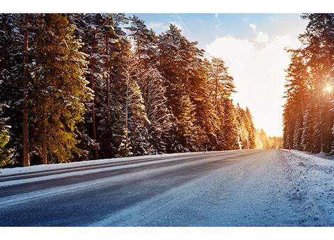 header paysage